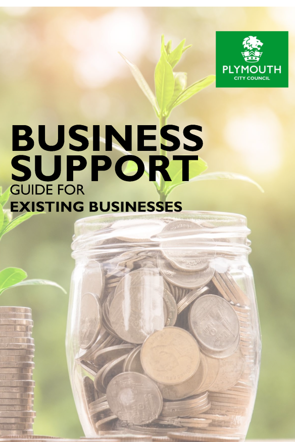 Business support guides for existing businesses