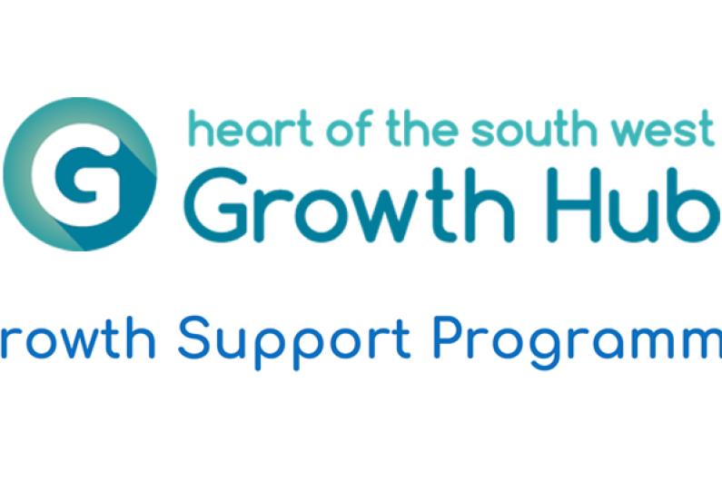 hotsw-growth-support-programme
