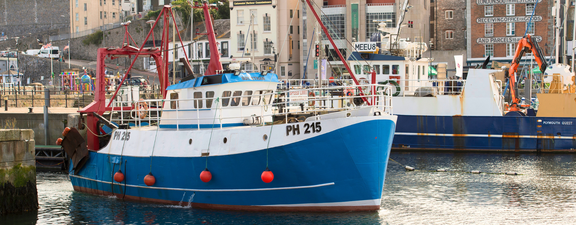 Plymouth fish market