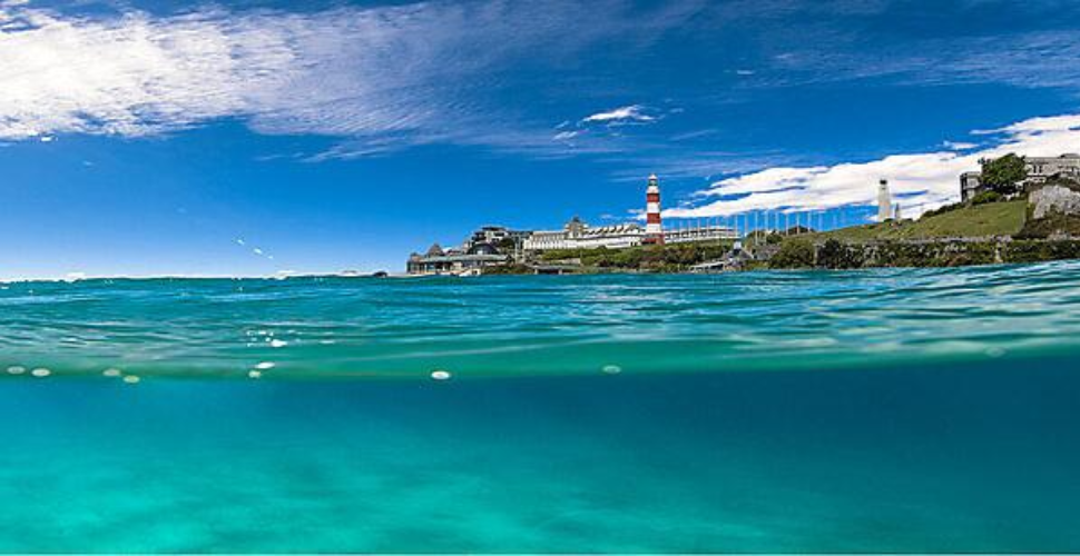 Underwater Plymouth Sound