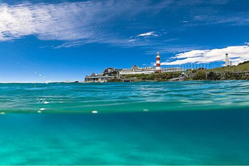 Underwater Plymouth Sound