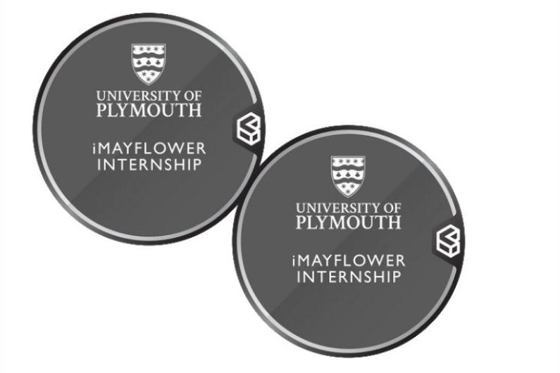 iMayflower Internship(1)